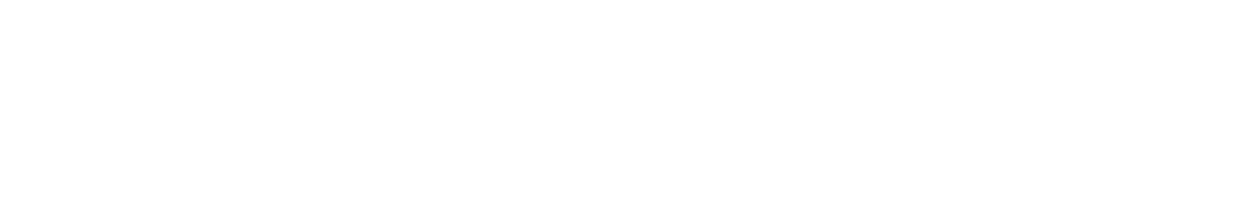 Startup journey timeline